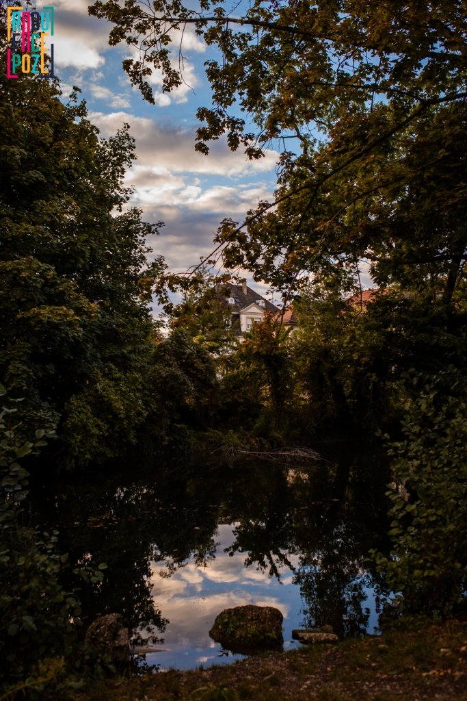 IMG_7496
